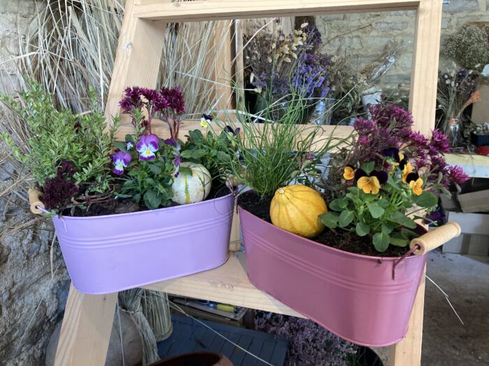 Automne 🍂 Jardinière de plantes vivaces